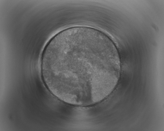 X0000116491514200912292055