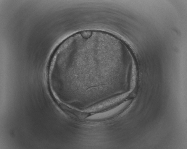 X0000116491517200912292055