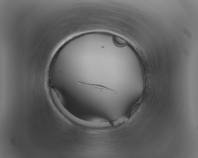 X0000116491518200912292055