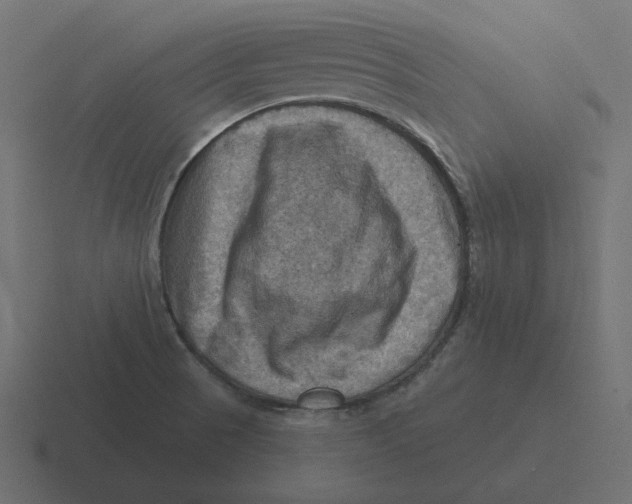 X0000116491521200912292055