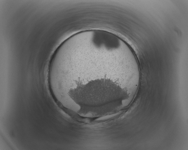 X0000116491525200912292055