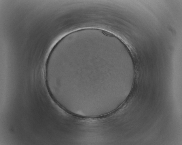 X0000116491527200912292055