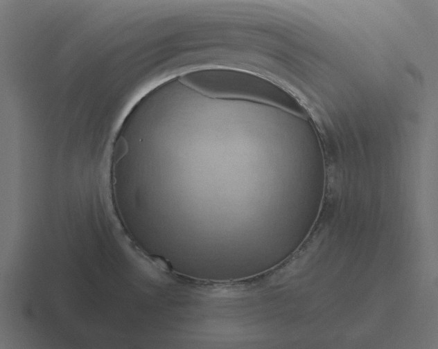 X0000116491530200912292055