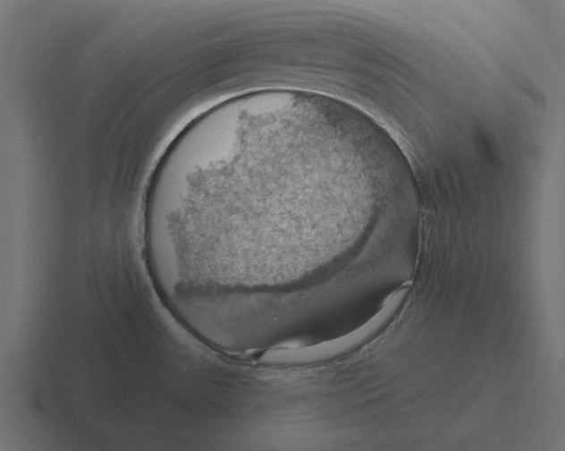 X0000116491531200912292055