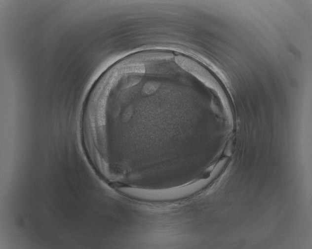 X0000116491533200912292056