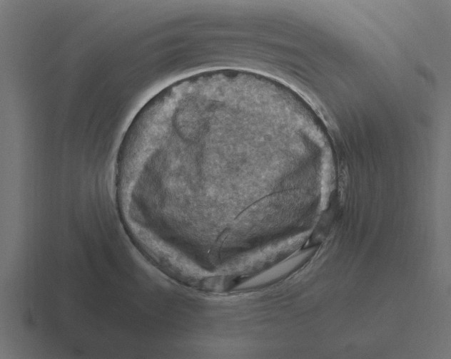 X0000116491535200912292056