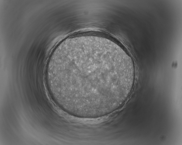 X0000116490001201001061151