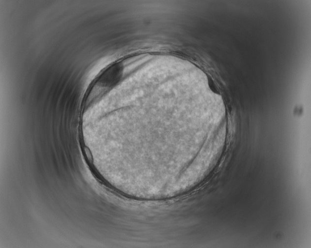 X0000116490003201001061151