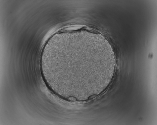 X0000116490004201001061151