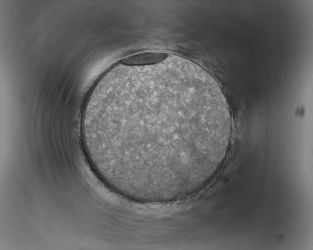 X0000116490005201001061151