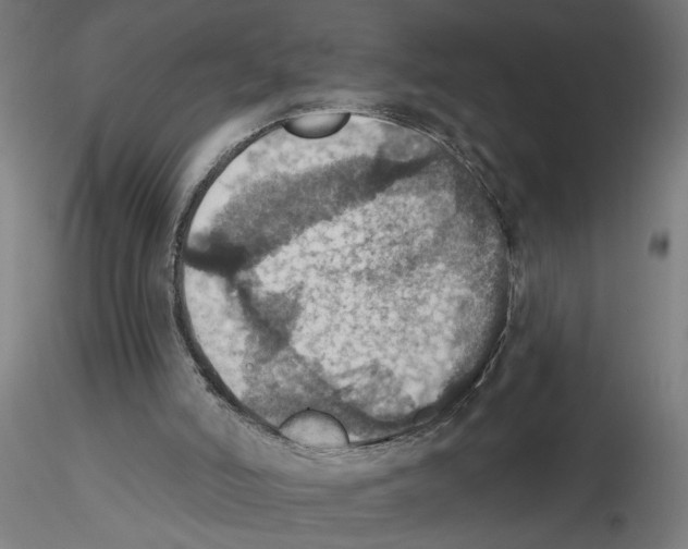 X0000116490006201001061151