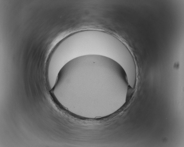 X0000116490008201001061151