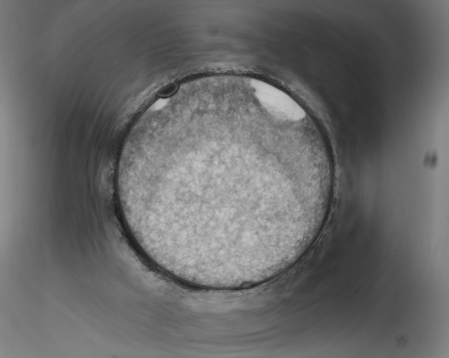 X0000116490009201001061151