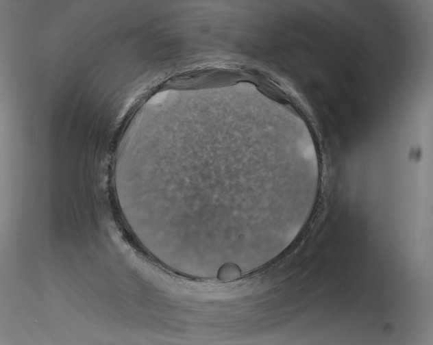 X0000116490010201001061151