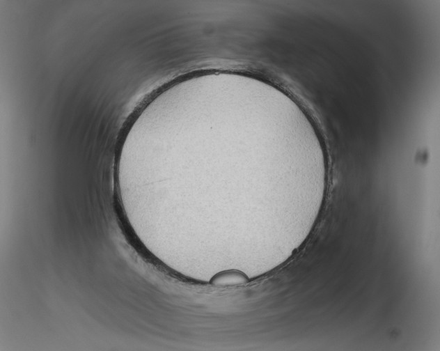 X0000116490011201001061151