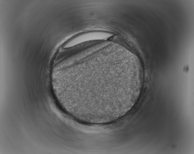 X0000116490012201001061151