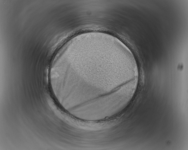 X0000116490014201001061151