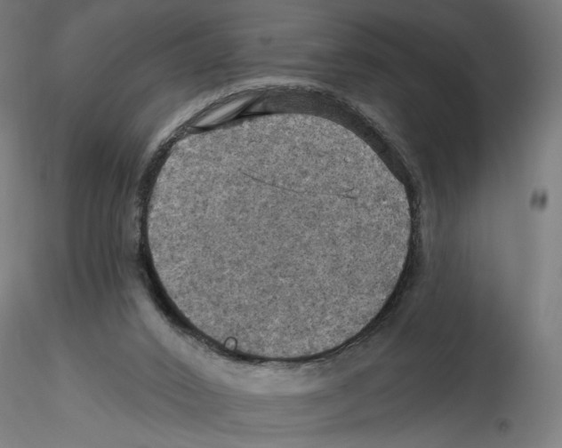 X0000116490016201001061151