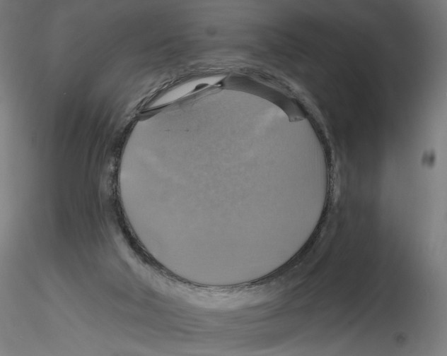 X0000116490018201001061151