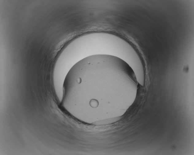 X0000116490019201001061151