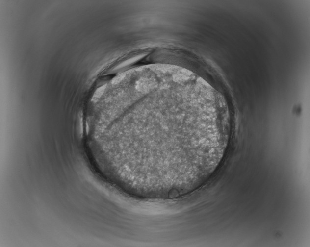 X0000116490020201001061151