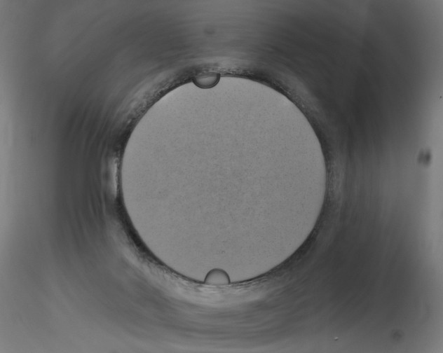 X0000116490022201001061150