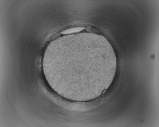 X0000116490024201001061150