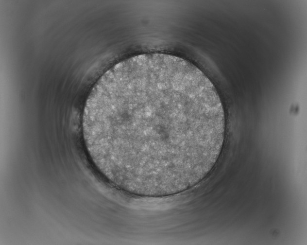 X0000116490025201001061150