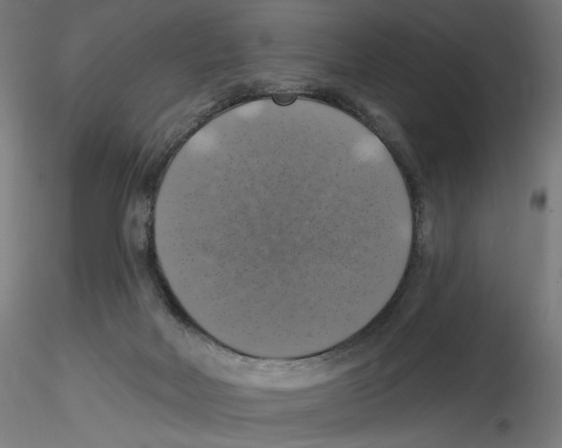 X0000116490026201001061150