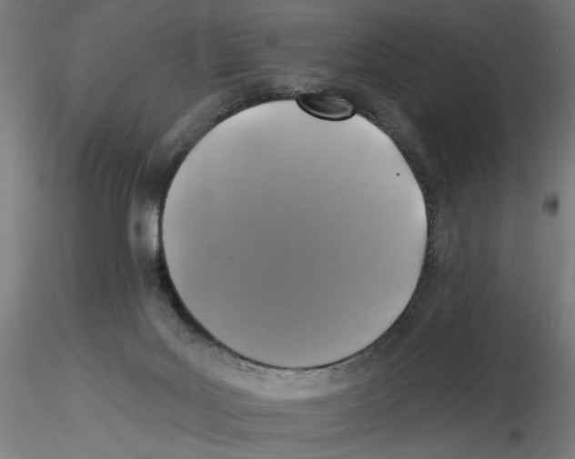 X0000116490027201001061150