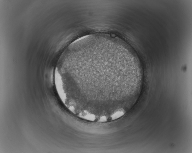 X0000116490028201001061150