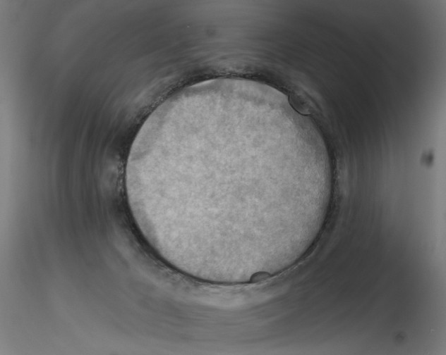 X0000116490029201001061150