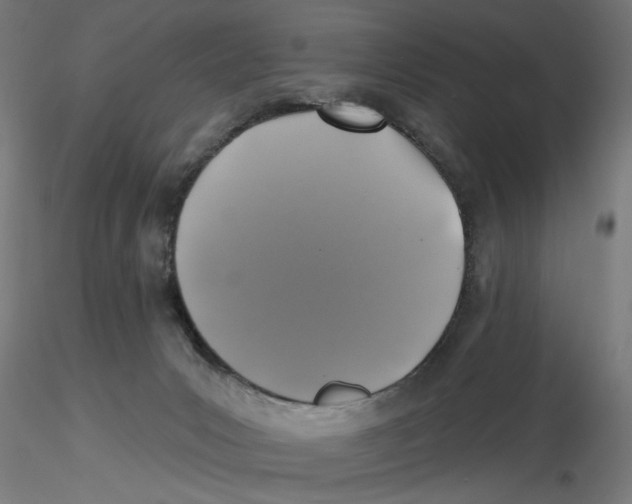 X0000116490031201001061150