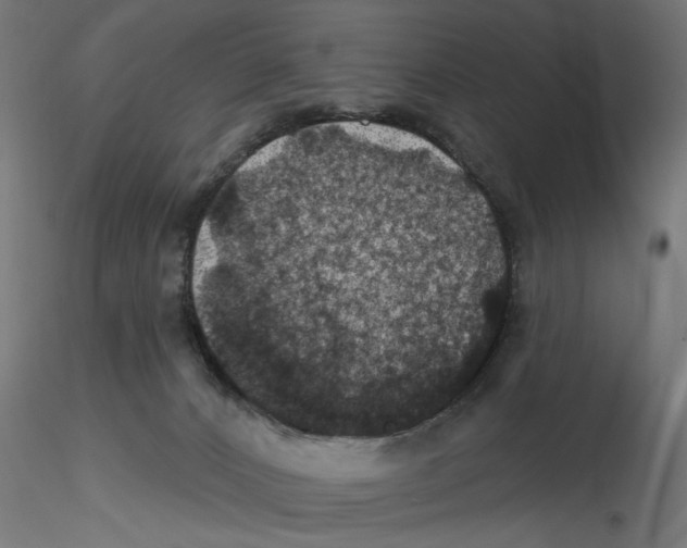 X0000116490032201001061150