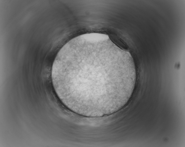 X0000116490033201001061150