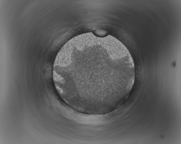 X0000116490036201001061150