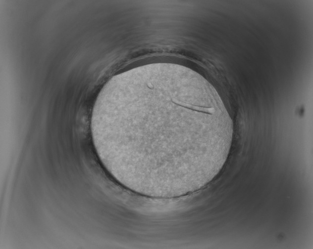 X0000116490037201001061150