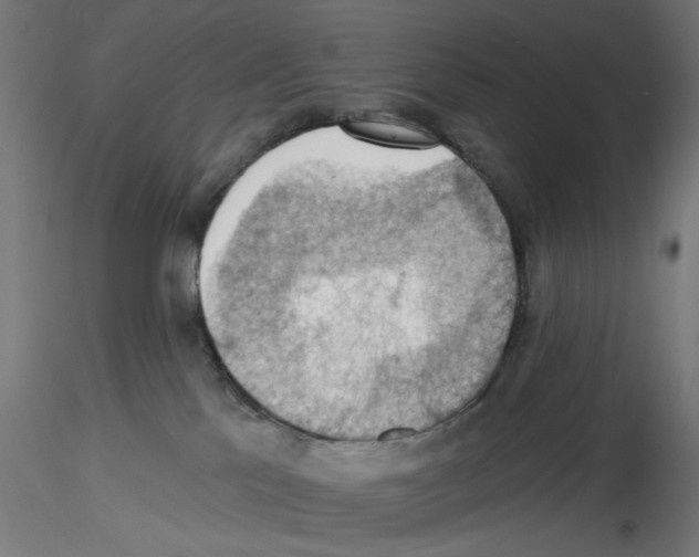 X0000116490041201001061150