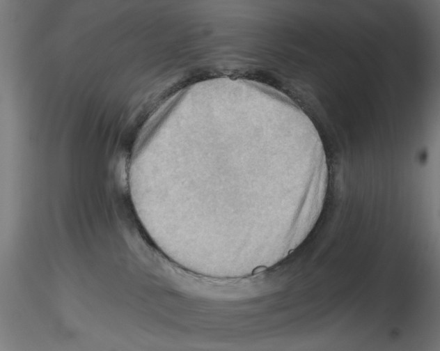 X0000116490042201001061150