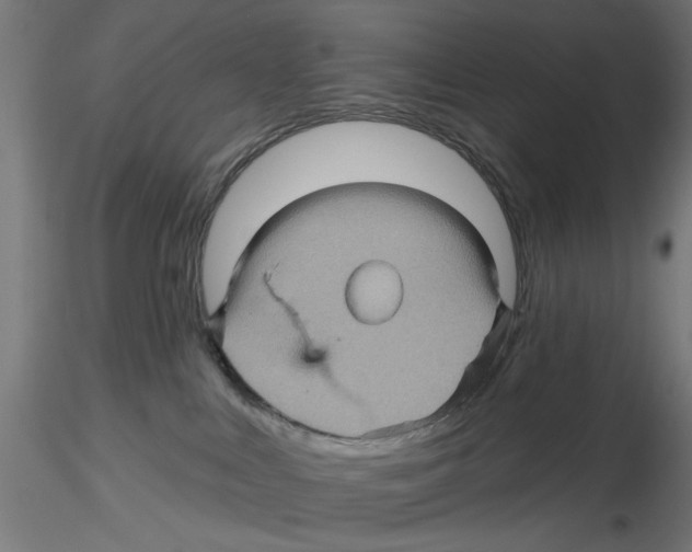 X0000116490043201001061150