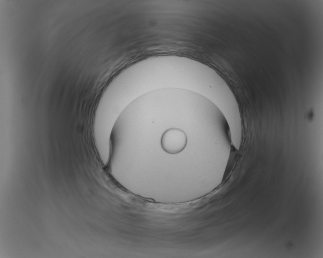 X0000116490045201001061150