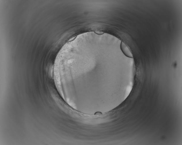 X0000116490046201001061150