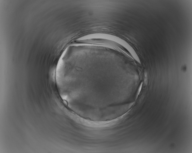 X0000116490047201001061150