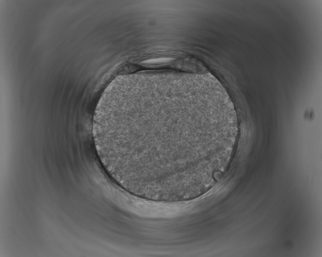 X0000116490048201001061150