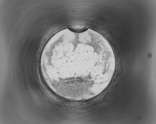 X0000116490049201001061149