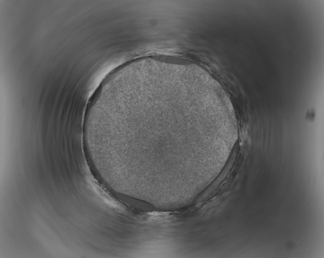 X0000116490052201001061150