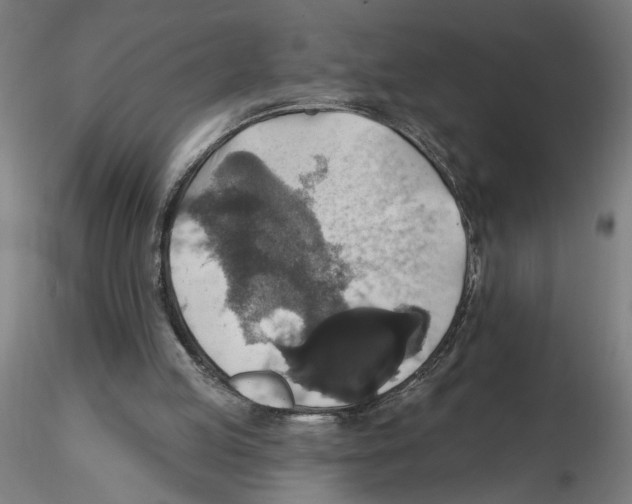 X0000116490053201001061150