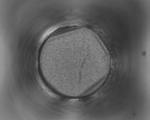 X0000116490054201001061150