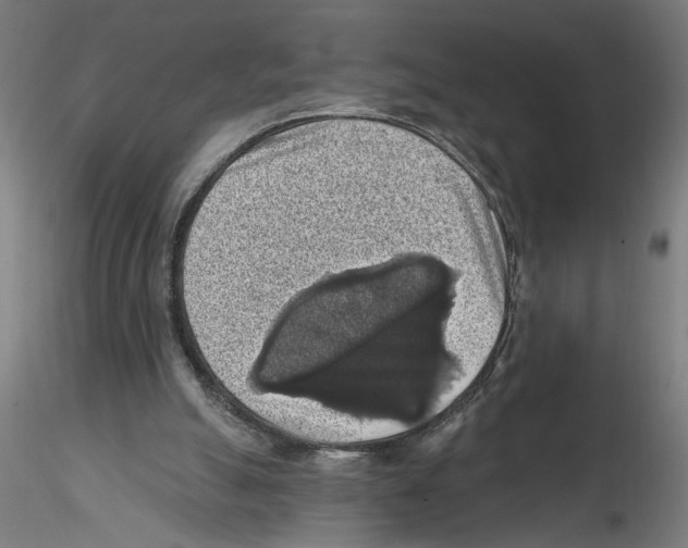 X0000116490055201001061150