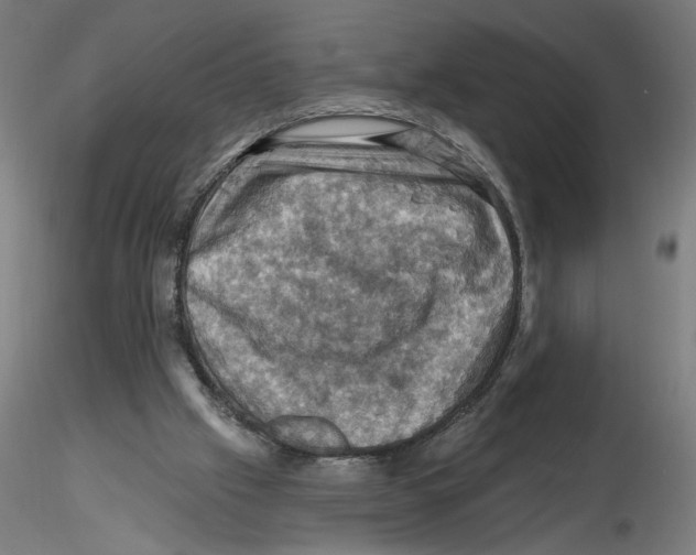 X0000116490057201001061150